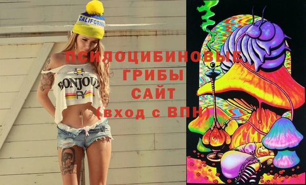 гидра Пересвет