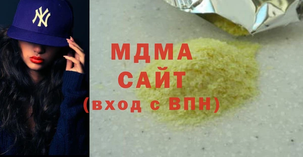 индика Инсар