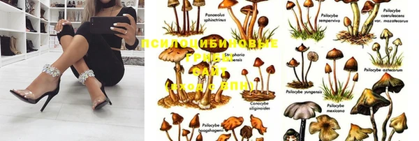 круглые Пестово