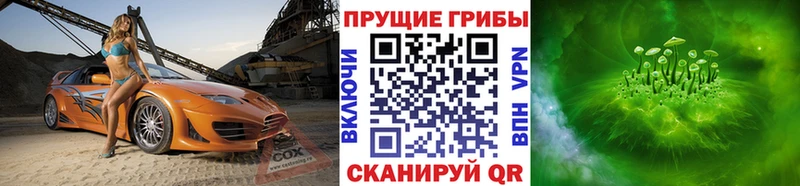 Галлюциногенные грибы прущие грибы  Боготол 
