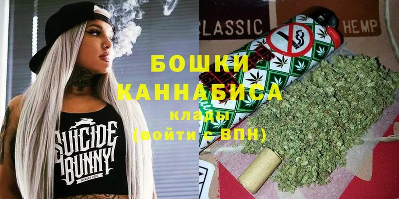 Каннабис OG Kush  Боготол 